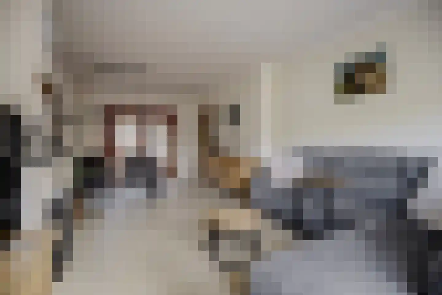 Nieuwe Kruisstraat 5 Rossum thumbnail 6