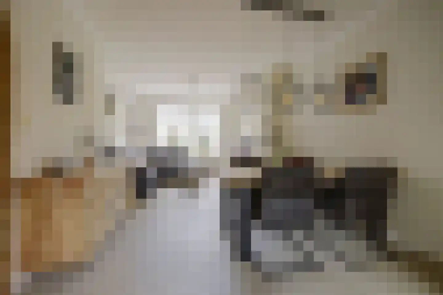 Nieuwe Kruisstraat 5 Rossum thumbnail 7