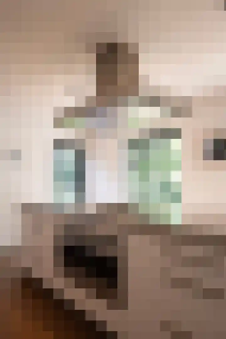 Nieuwe Laaklaan 22 Putten thumbnail 15