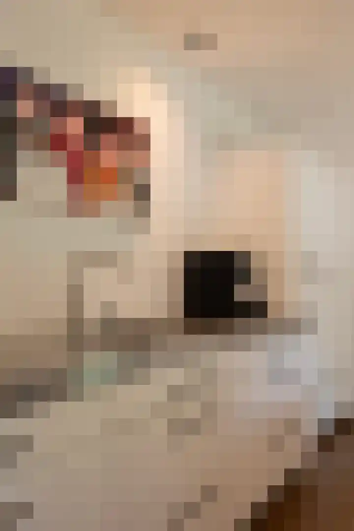 Nieuwe Laaklaan 22 Putten thumbnail 16