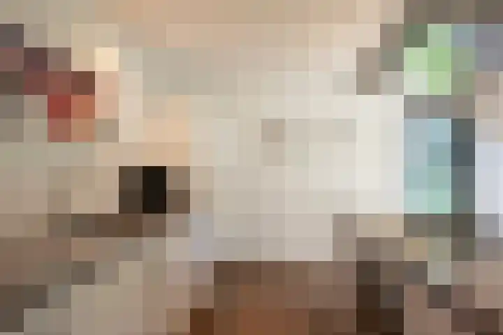 Nieuwe Laaklaan 22 Putten thumbnail 17