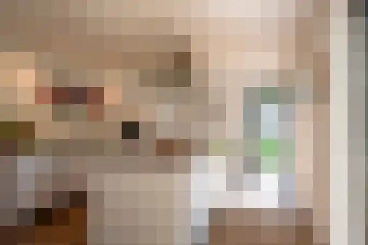 Nieuwe Laaklaan 22 Putten thumbnail 18