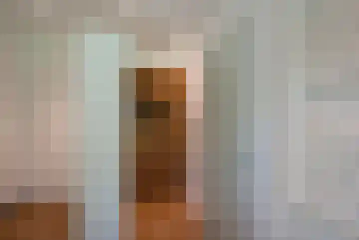 Nieuwe Laaklaan 22 Putten thumbnail 21