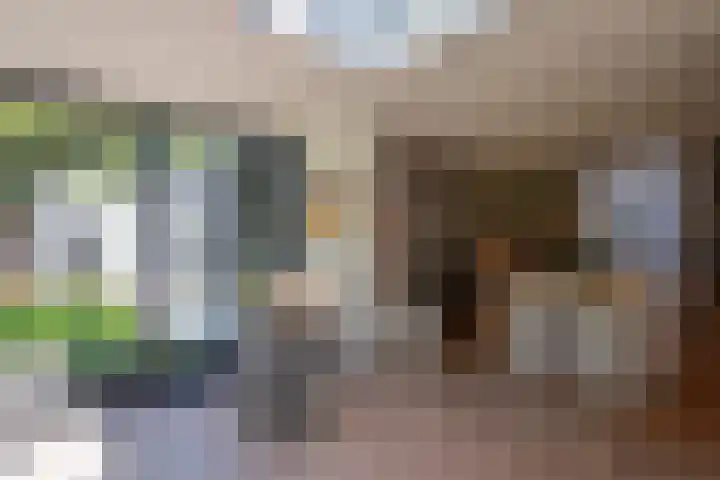 Nieuwe Laaklaan 22 Putten thumbnail 23
