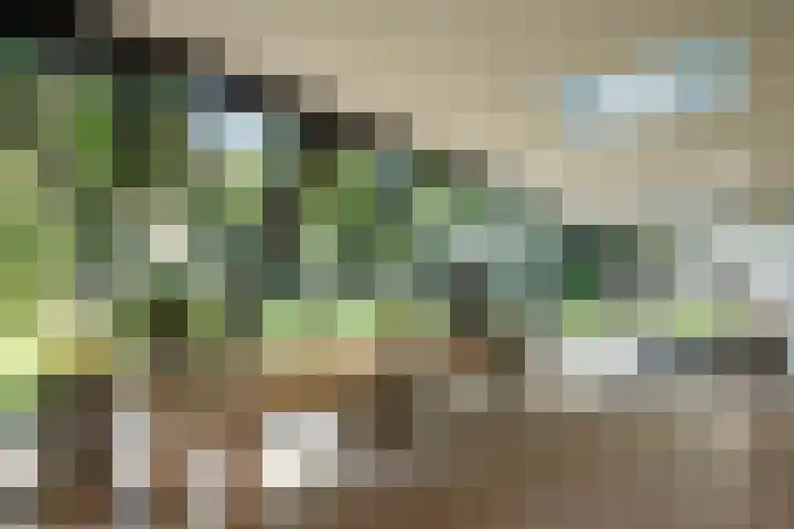 Nieuwe Laaklaan 22 Putten thumbnail 26
