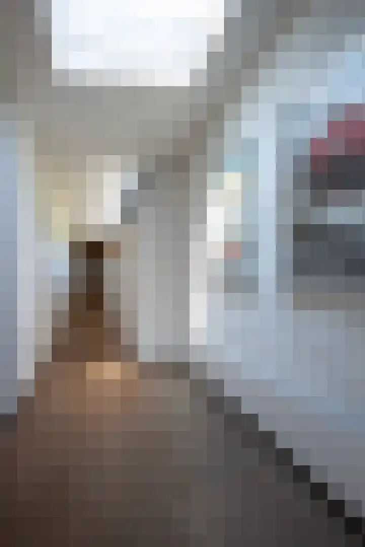 Nieuwe Laaklaan 22 Putten thumbnail 27