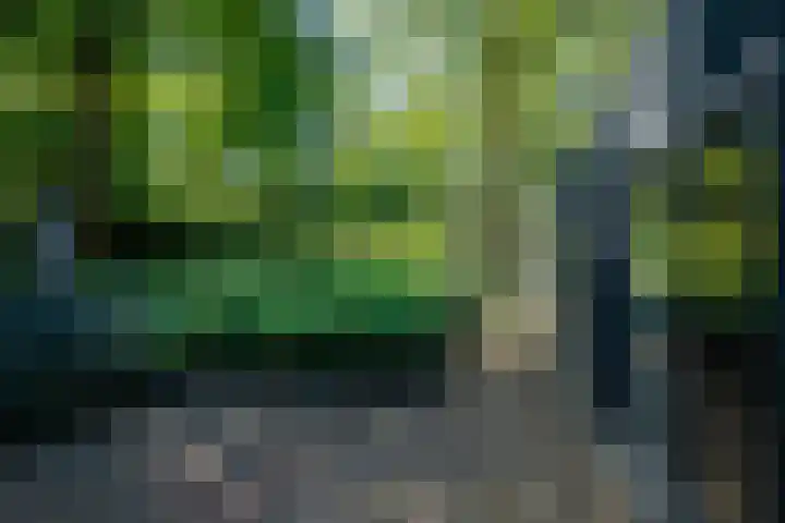 Nieuwe Laaklaan 22 Putten thumbnail 39