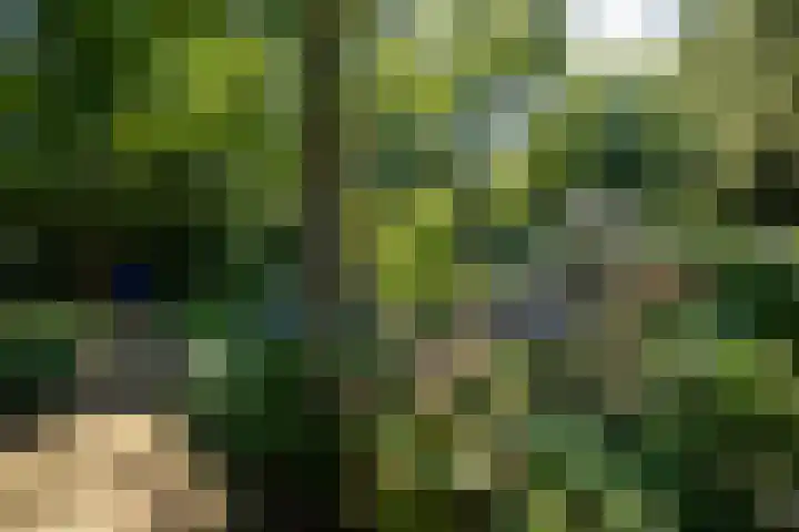 Nieuwe Laaklaan 22 Putten thumbnail 40
