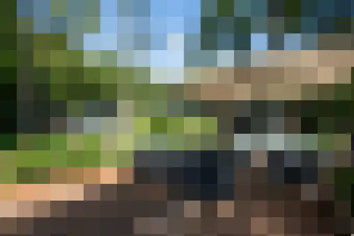 Nieuwe Laaklaan 22 Putten thumbnail 41