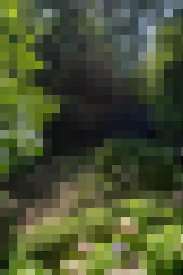 Nieuwe Laaklaan 22 Putten thumbnail 42