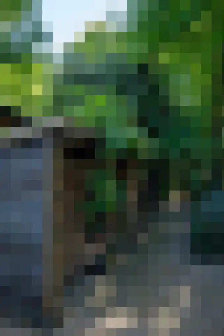 Nieuwe Laaklaan 22 Putten thumbnail 43