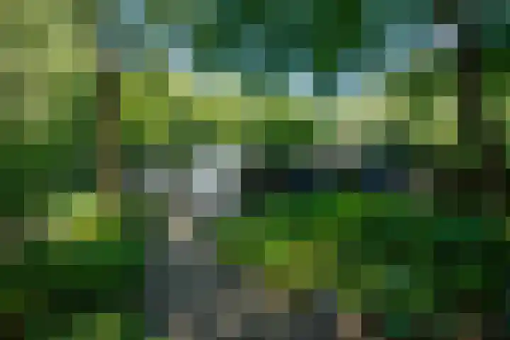 Nieuwe Laaklaan 22 Putten thumbnail 44