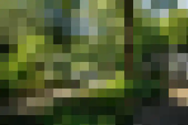 Nieuwe Laaklaan 22 Putten thumbnail 45