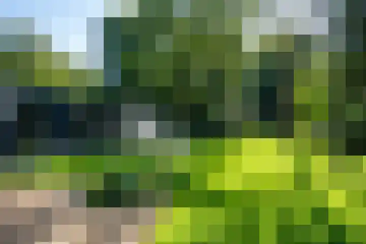 Nieuwe Laaklaan 22 Putten thumbnail 46