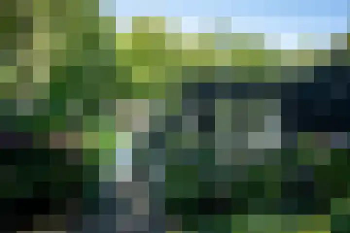Nieuwe Laaklaan 22 Putten thumbnail 47