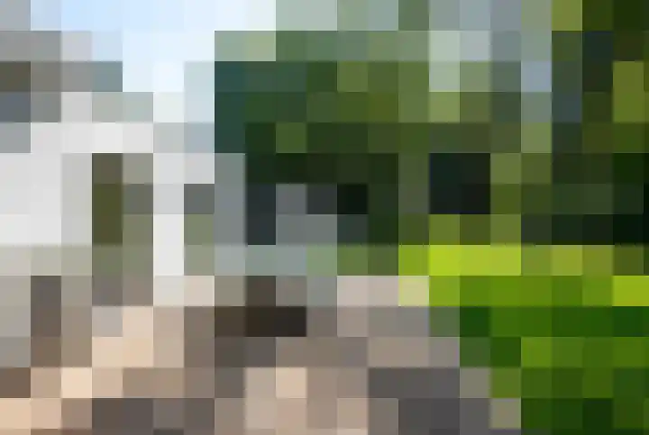 Nieuwe Laaklaan 22 Putten thumbnail 49