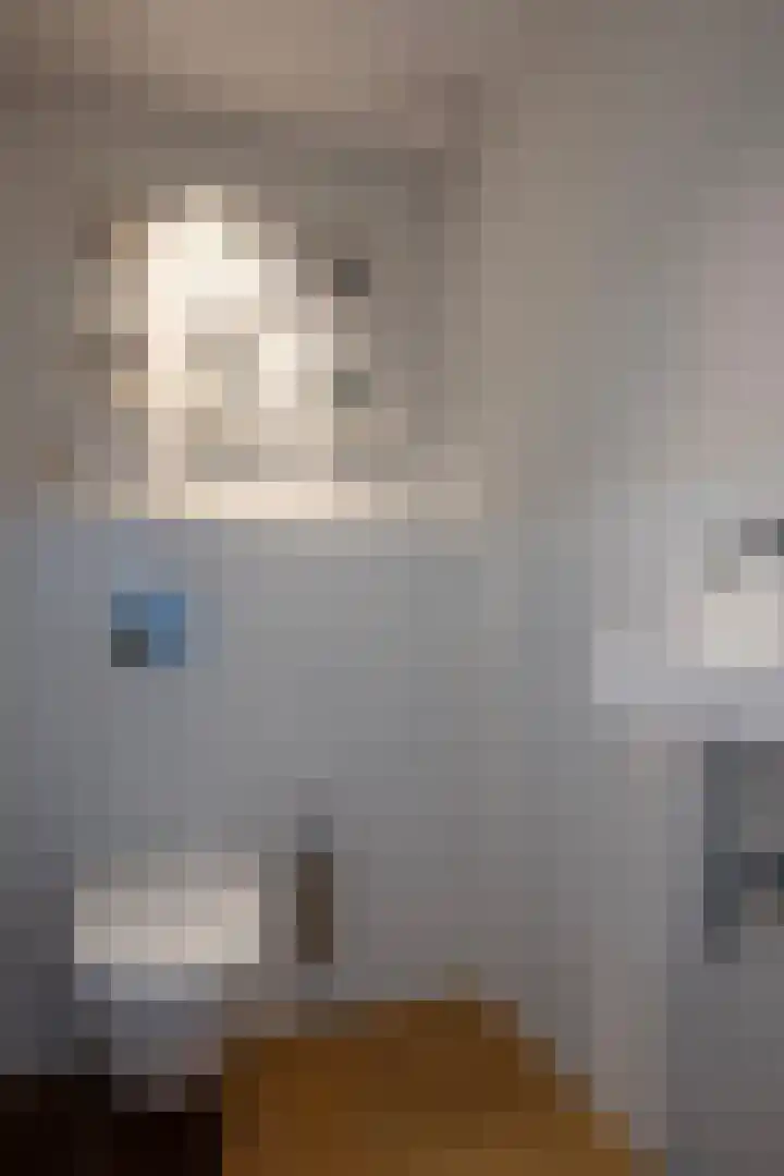 Nieuwe Laaklaan 22 Putten thumbnail 5