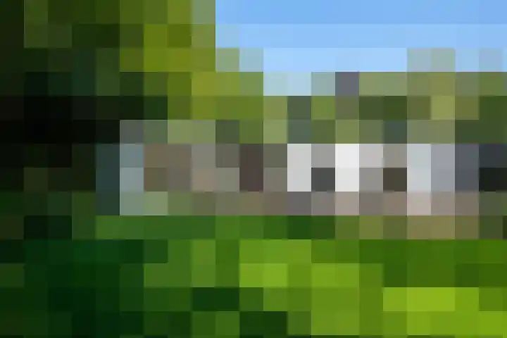 Nieuwe Laaklaan 22 Putten thumbnail 50