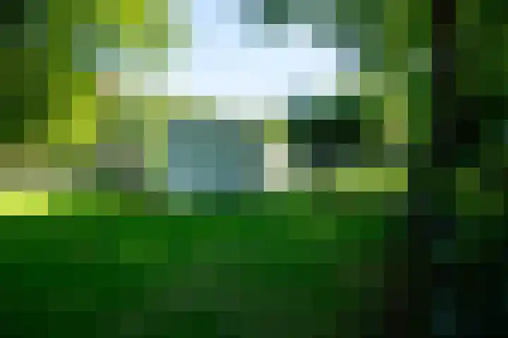 Nieuwe Laaklaan 22 Putten thumbnail 52