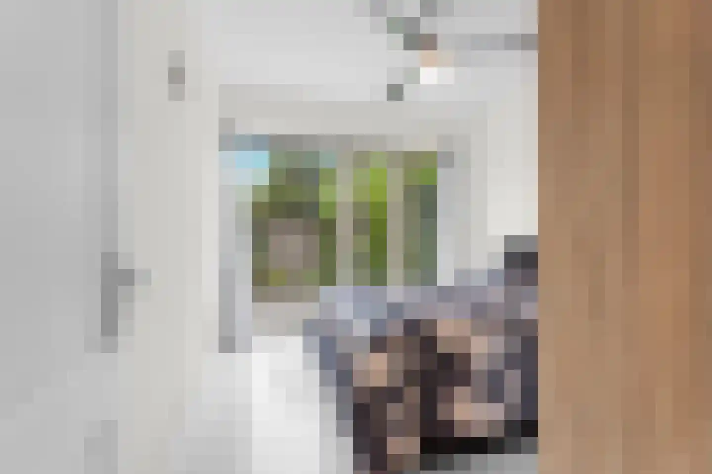 Nieuwe Laan 10 Amsterdam thumbnail 10