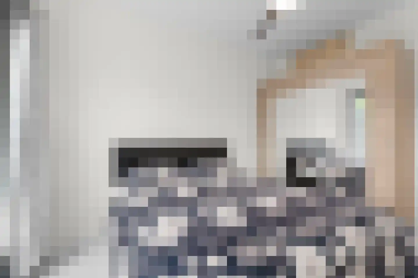 Nieuwe Laan 10 Amsterdam thumbnail 11