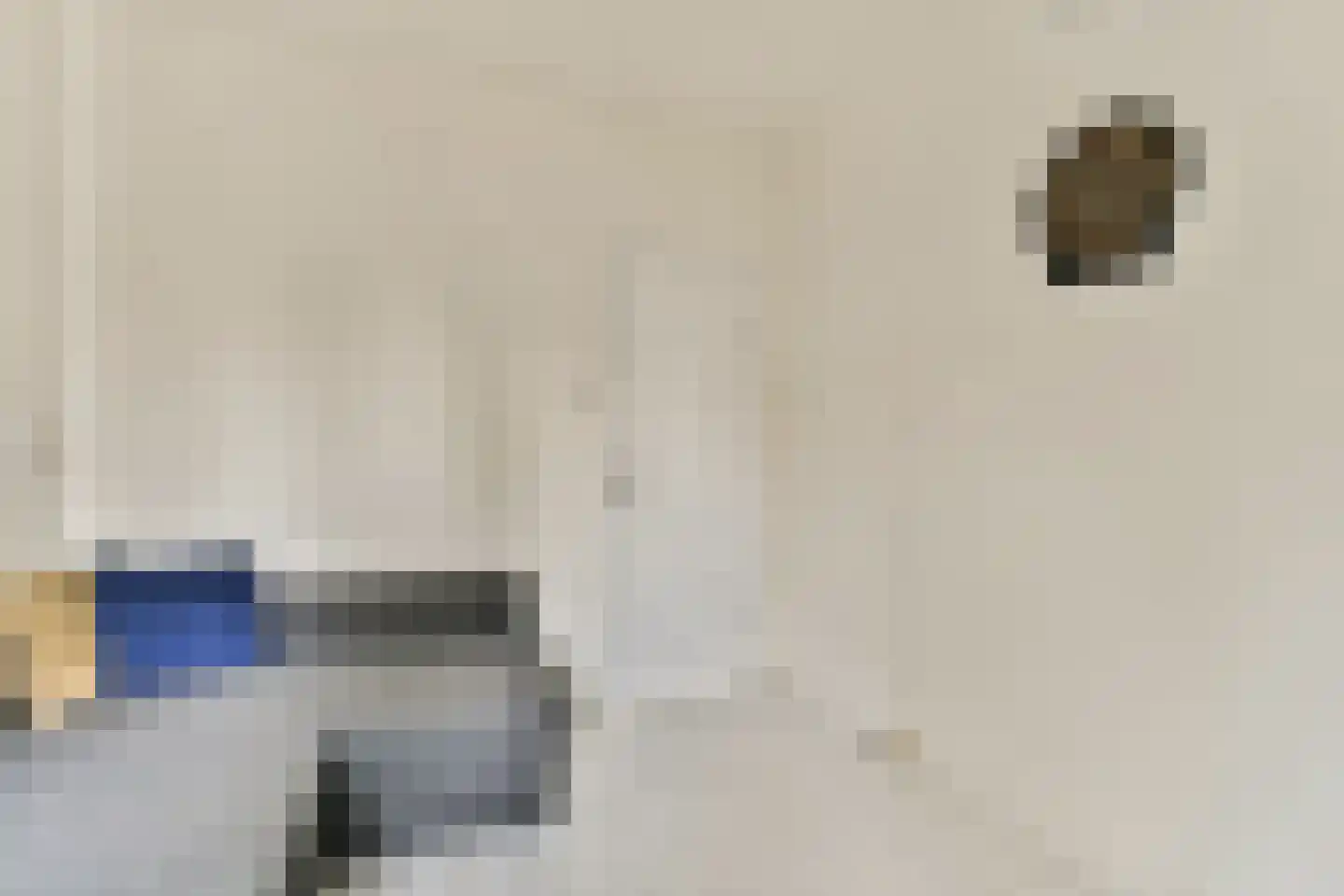 Nieuwe Laan 10 Amsterdam thumbnail 12