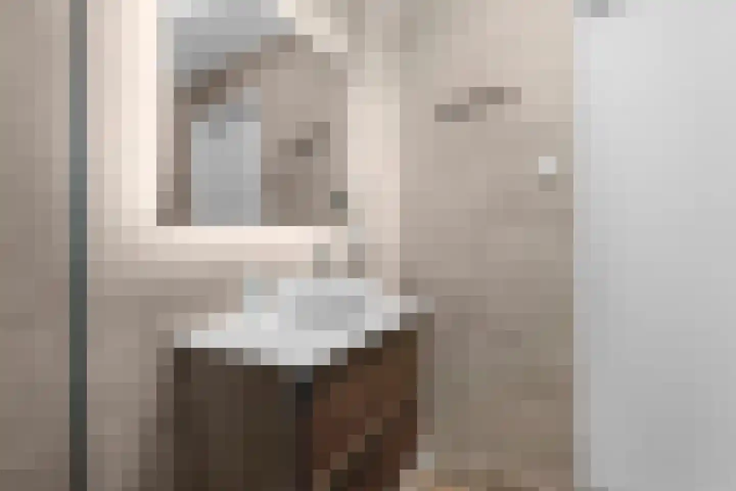 Nieuwe Laan 10 Amsterdam thumbnail 14