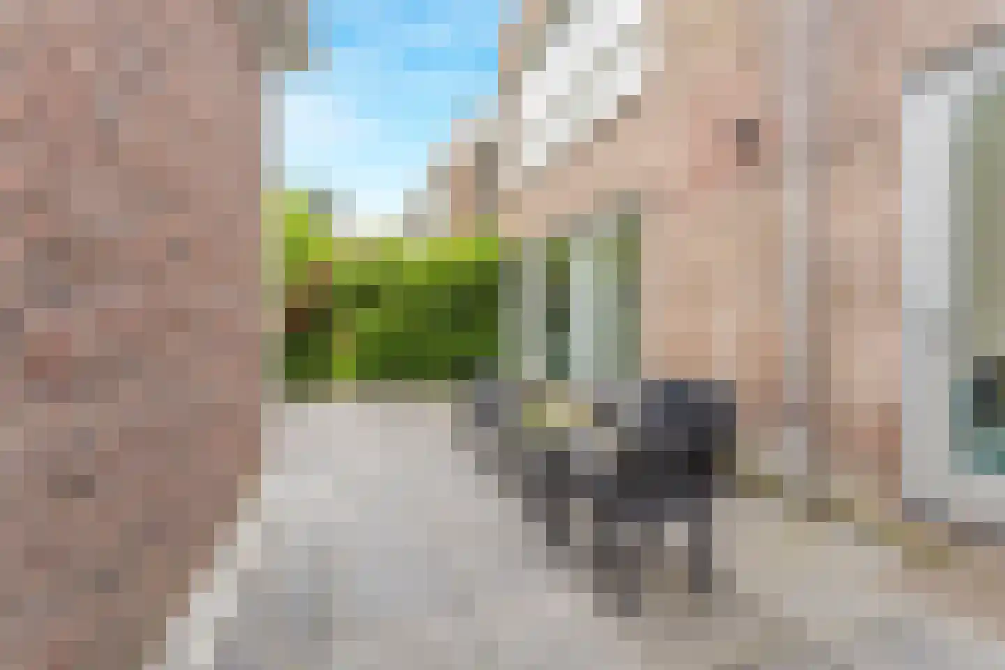 Nieuwe Laan 10 Amsterdam thumbnail 15