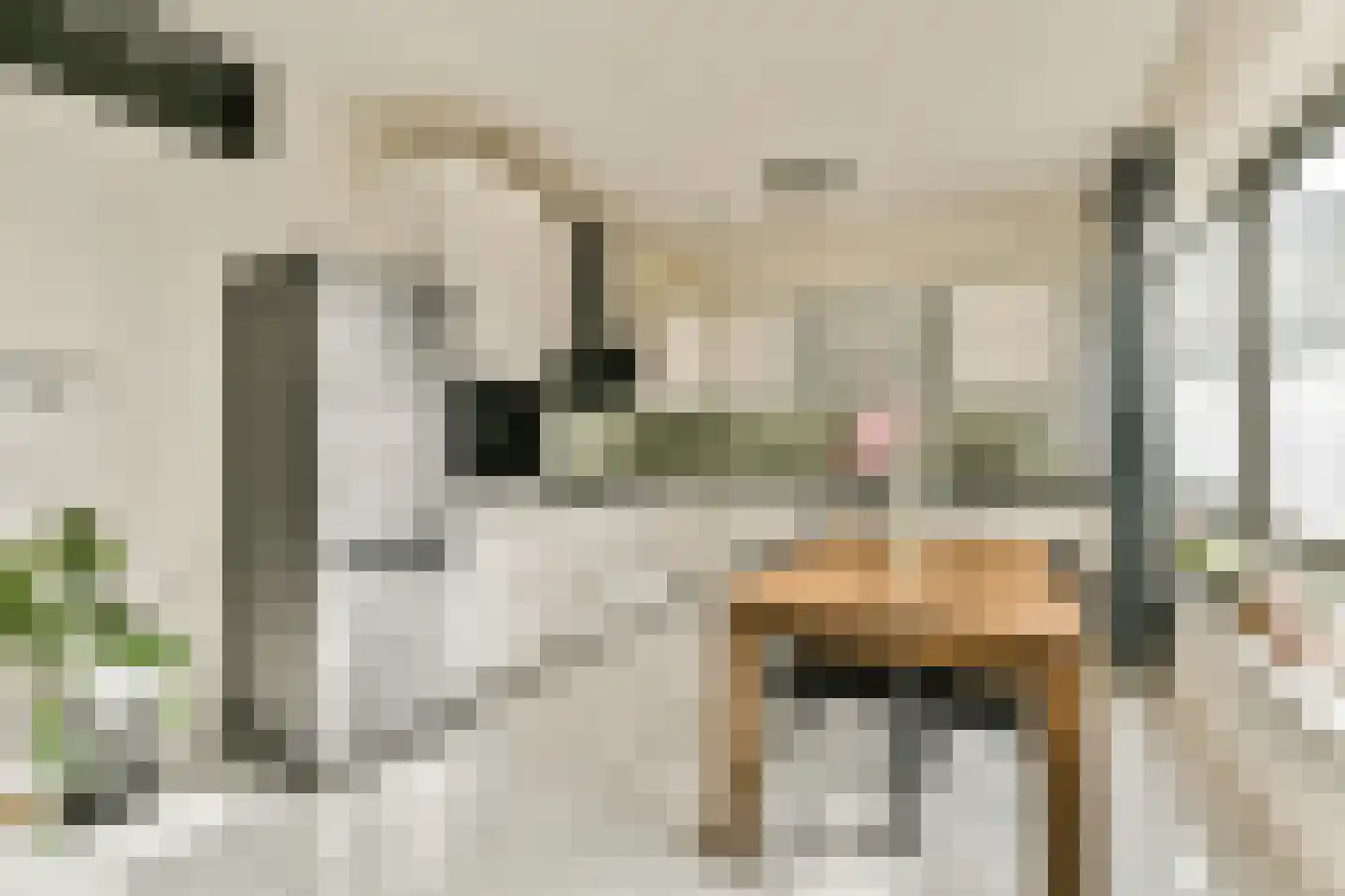 Nieuwe Laan 10 Amsterdam thumbnail 5
