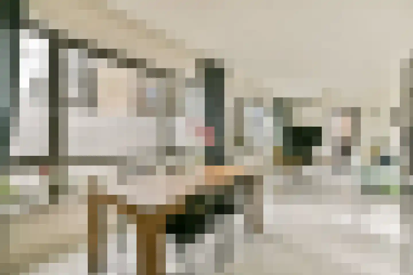Nieuwe Laan 10 Amsterdam thumbnail 6