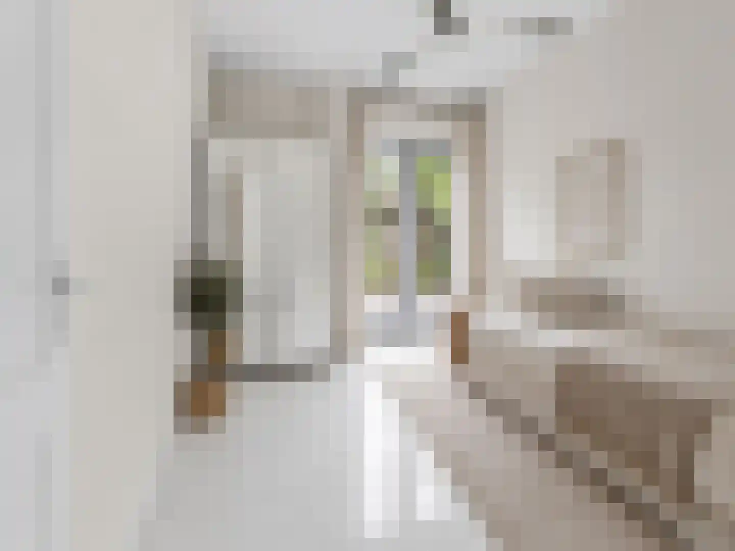 Nieuwe Laan 10 Amsterdam thumbnail 8