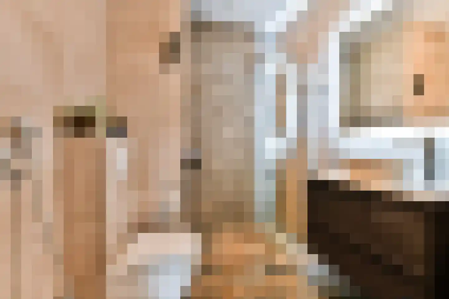 Nieuwe Laan 10 Amsterdam thumbnail 9