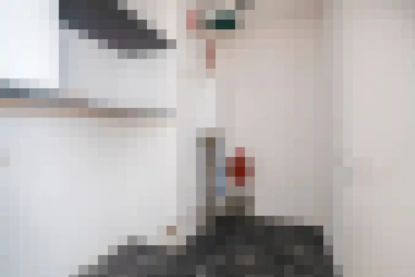 Nieuwe Laan 103 Capelle aan den IJssel thumbnail 14