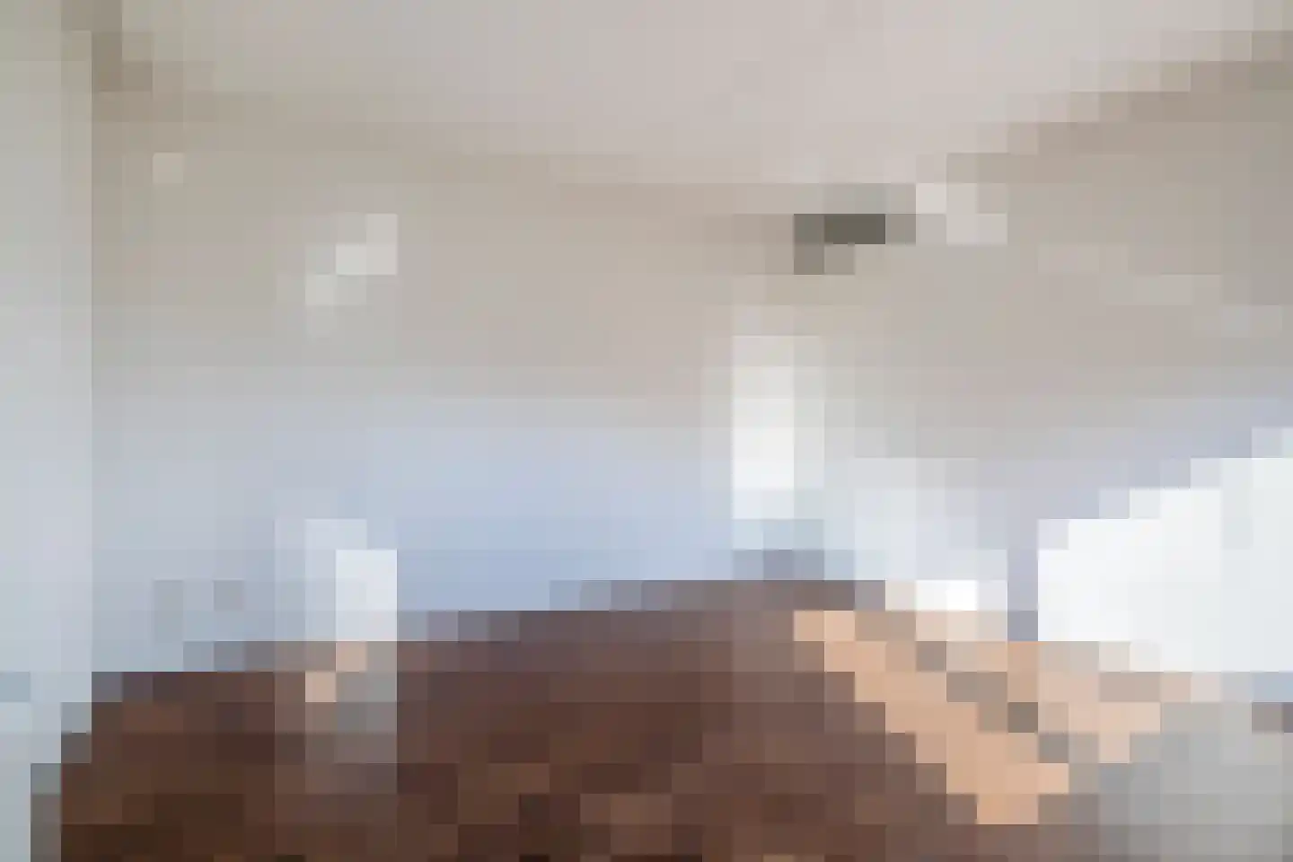 Nieuwe Laan 103 Capelle aan den IJssel thumbnail 26