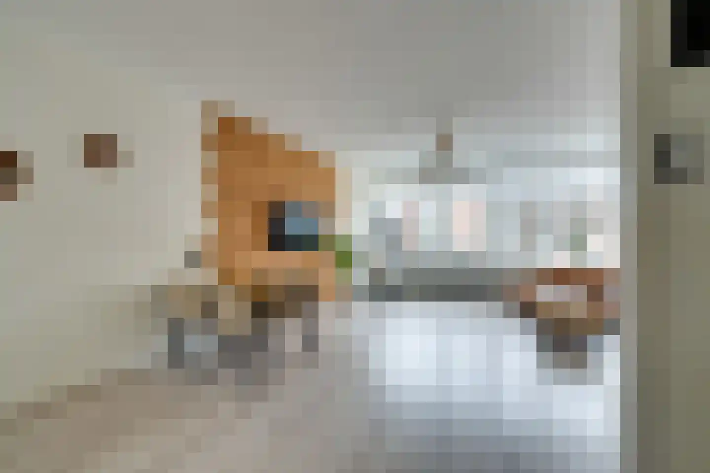 Nieuwe Laan 117 Amsterdam thumbnail 10