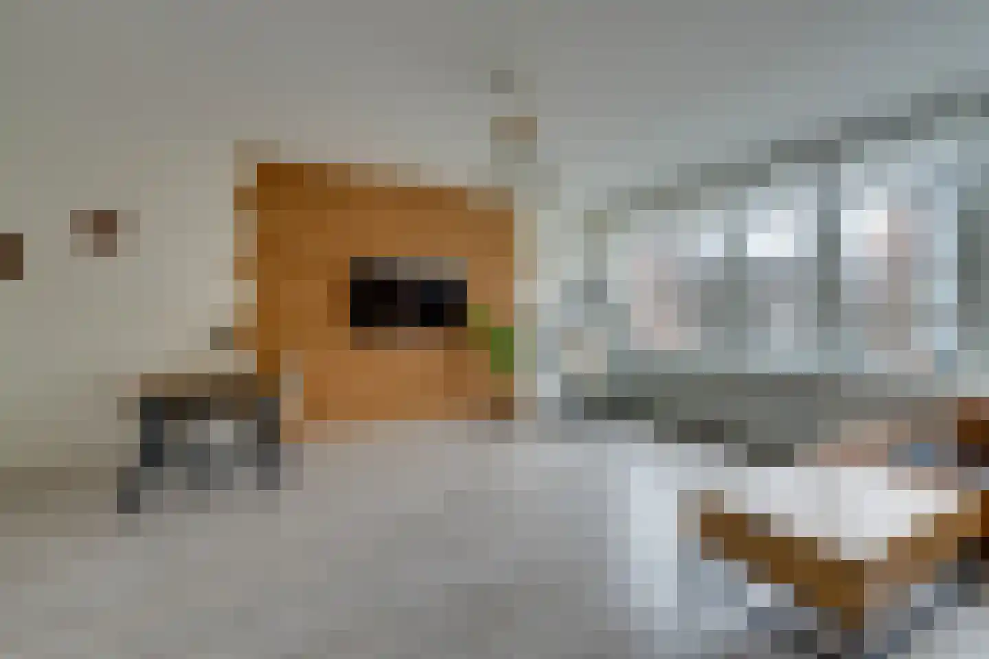 Nieuwe Laan 117 Amsterdam thumbnail 11