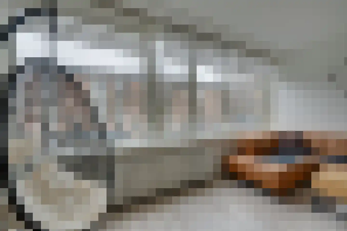 Nieuwe Laan 117 Amsterdam thumbnail 13