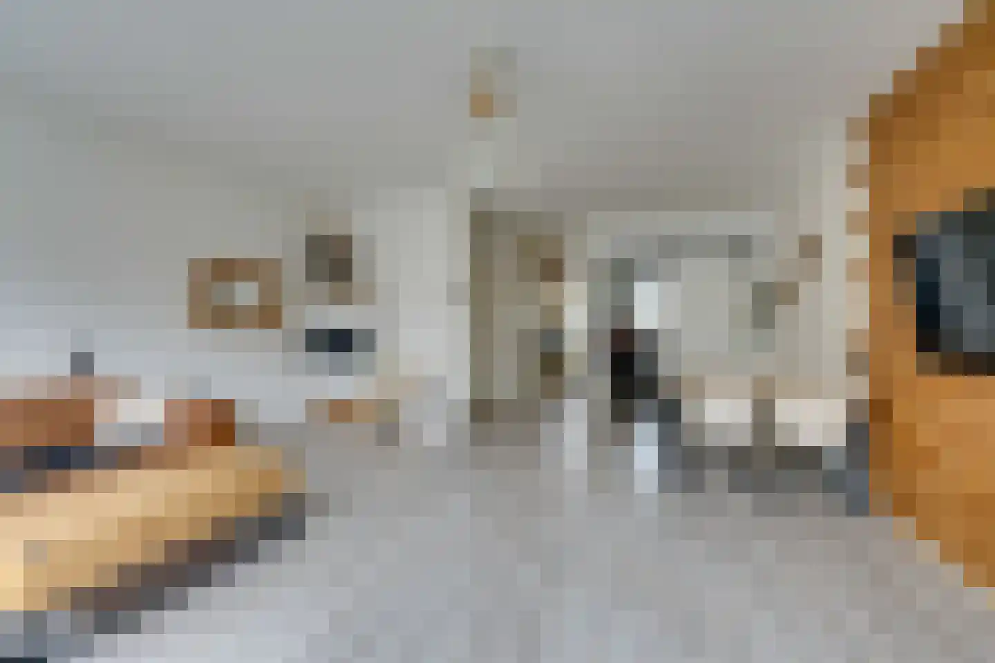 Nieuwe Laan 117 Amsterdam thumbnail 14
