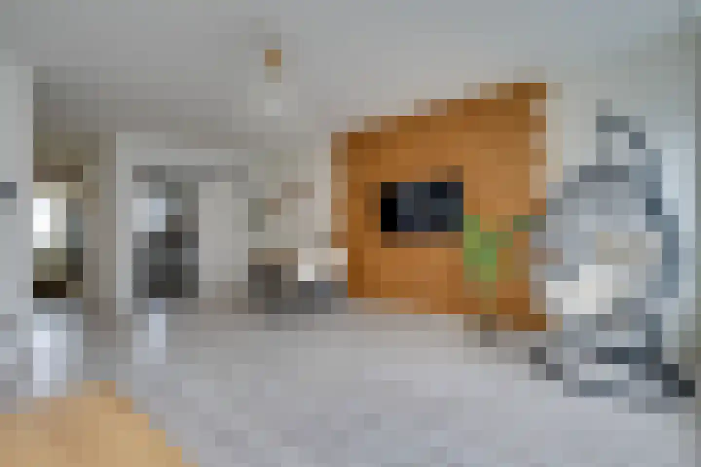 Nieuwe Laan 117 Amsterdam thumbnail 16