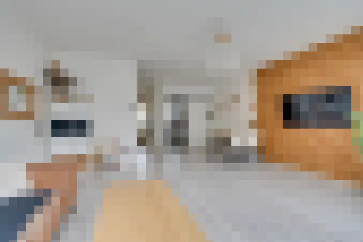 Nieuwe Laan 117 Amsterdam thumbnail 17