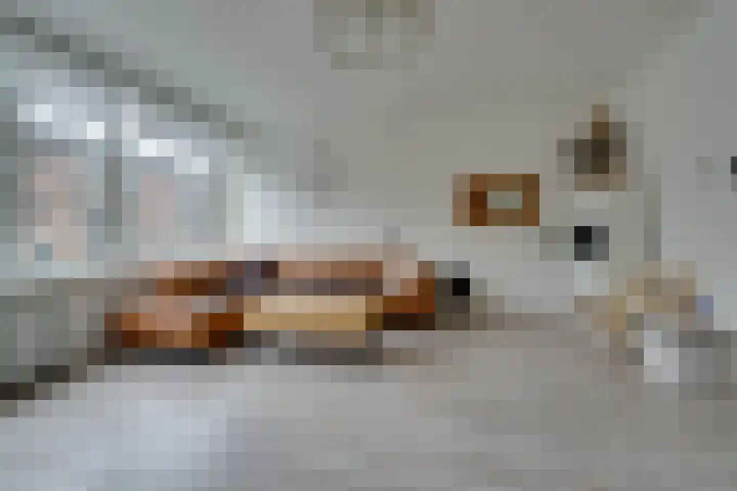 Nieuwe Laan 117 Amsterdam thumbnail 18