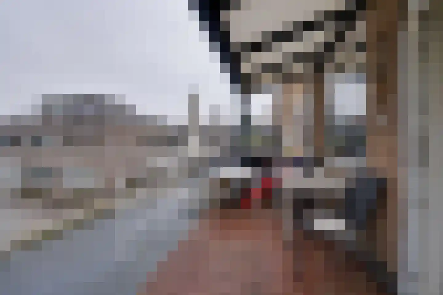 Nieuwe Laan 117 Amsterdam thumbnail 25