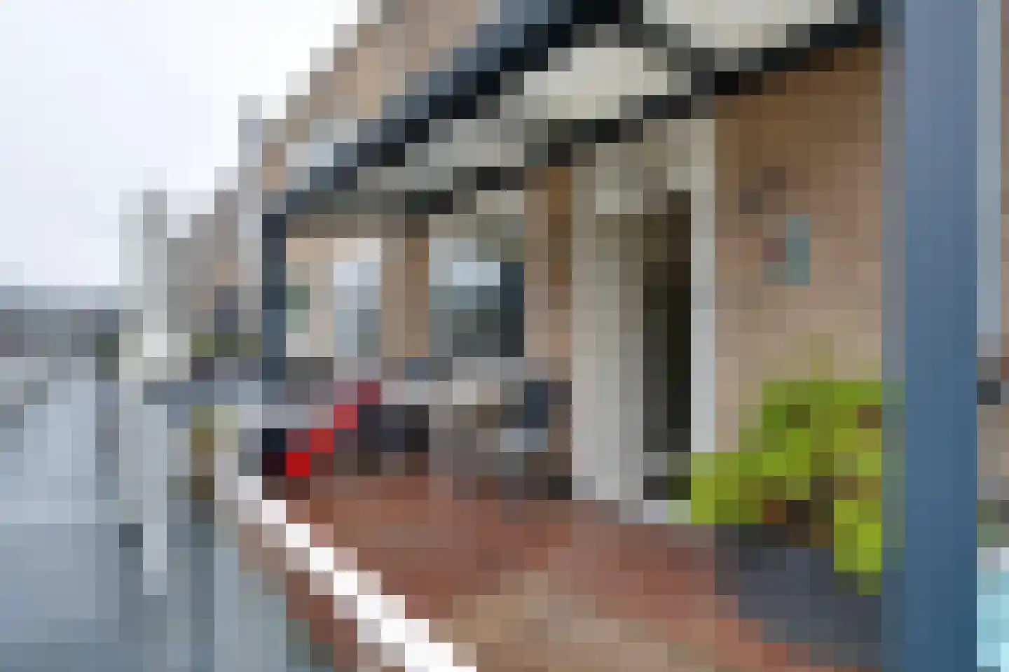 Nieuwe Laan 117 Amsterdam thumbnail 26