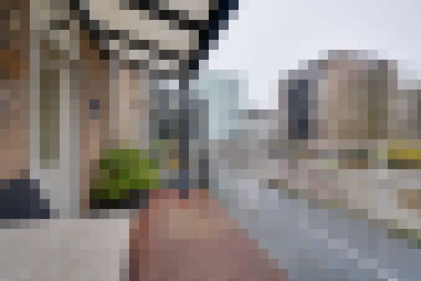 Nieuwe Laan 117 Amsterdam thumbnail 27