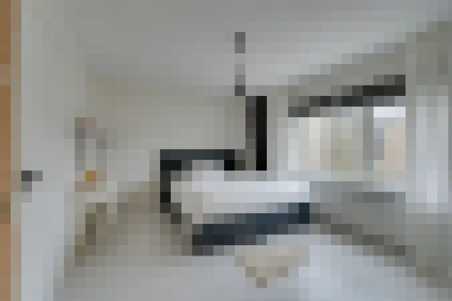 Nieuwe Laan 117 Amsterdam thumbnail 30