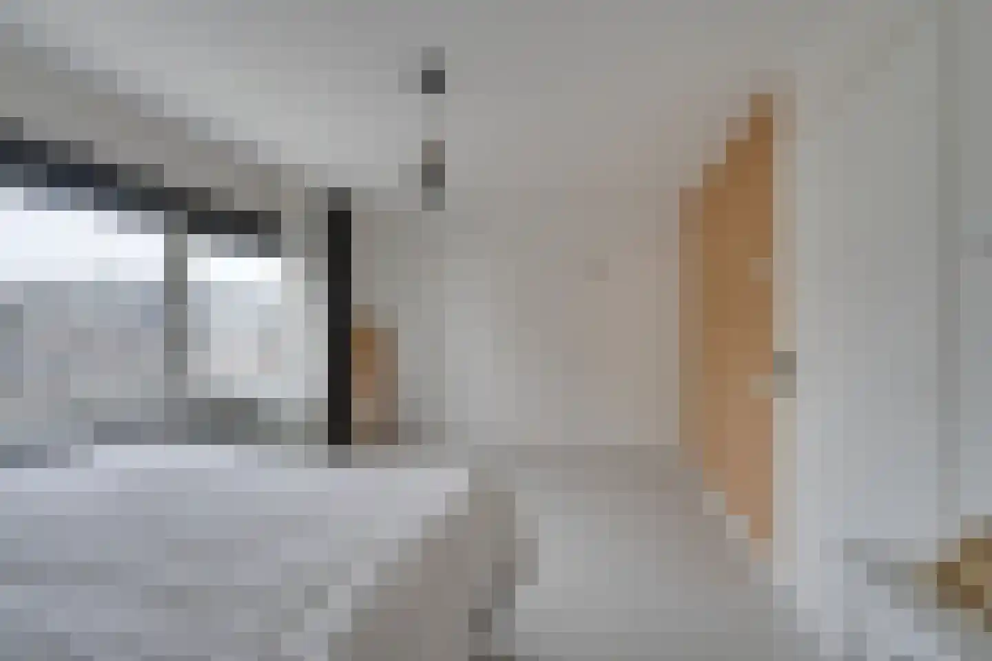 Nieuwe Laan 117 Amsterdam thumbnail 32