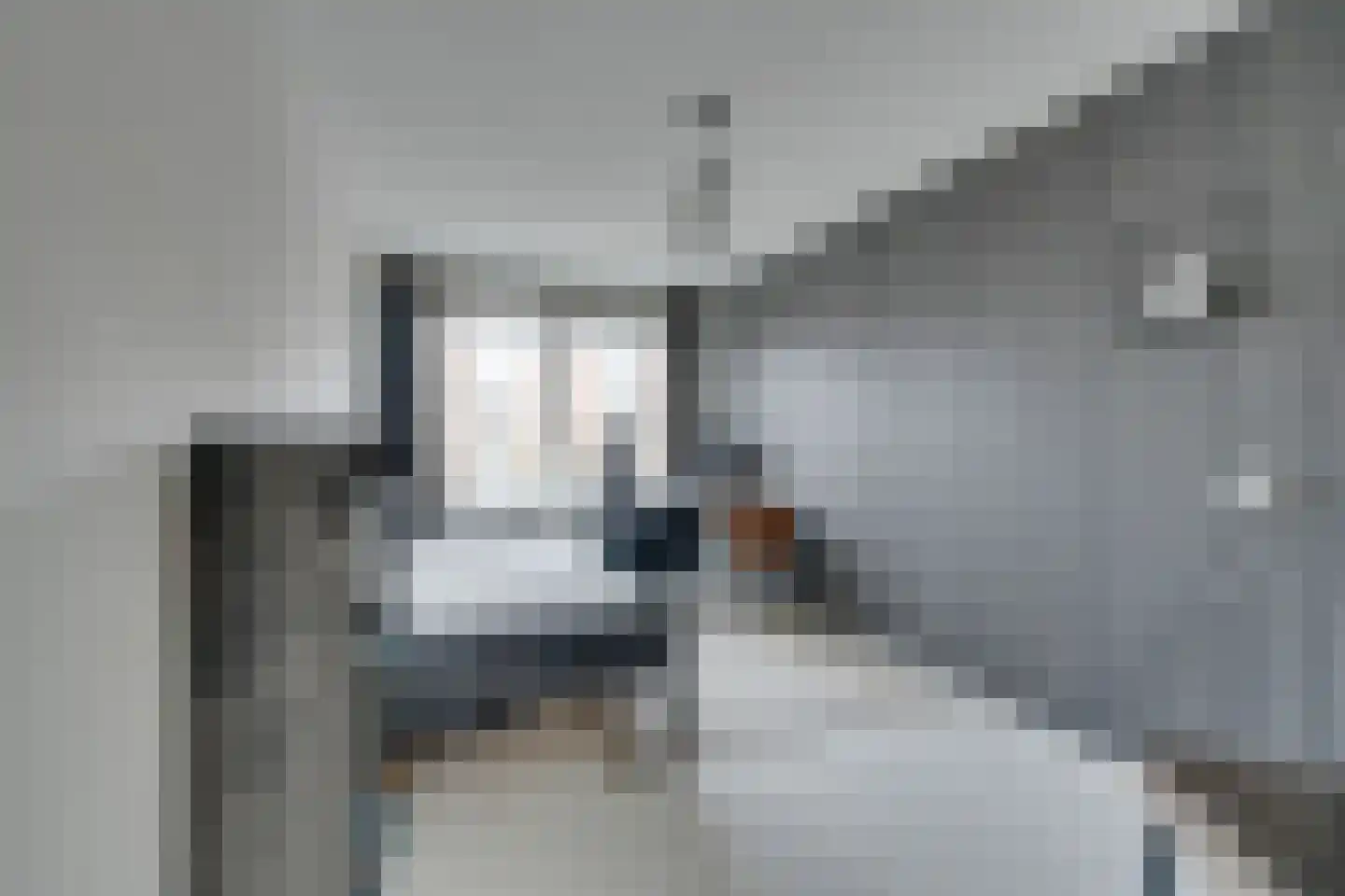Nieuwe Laan 117 Amsterdam thumbnail 36