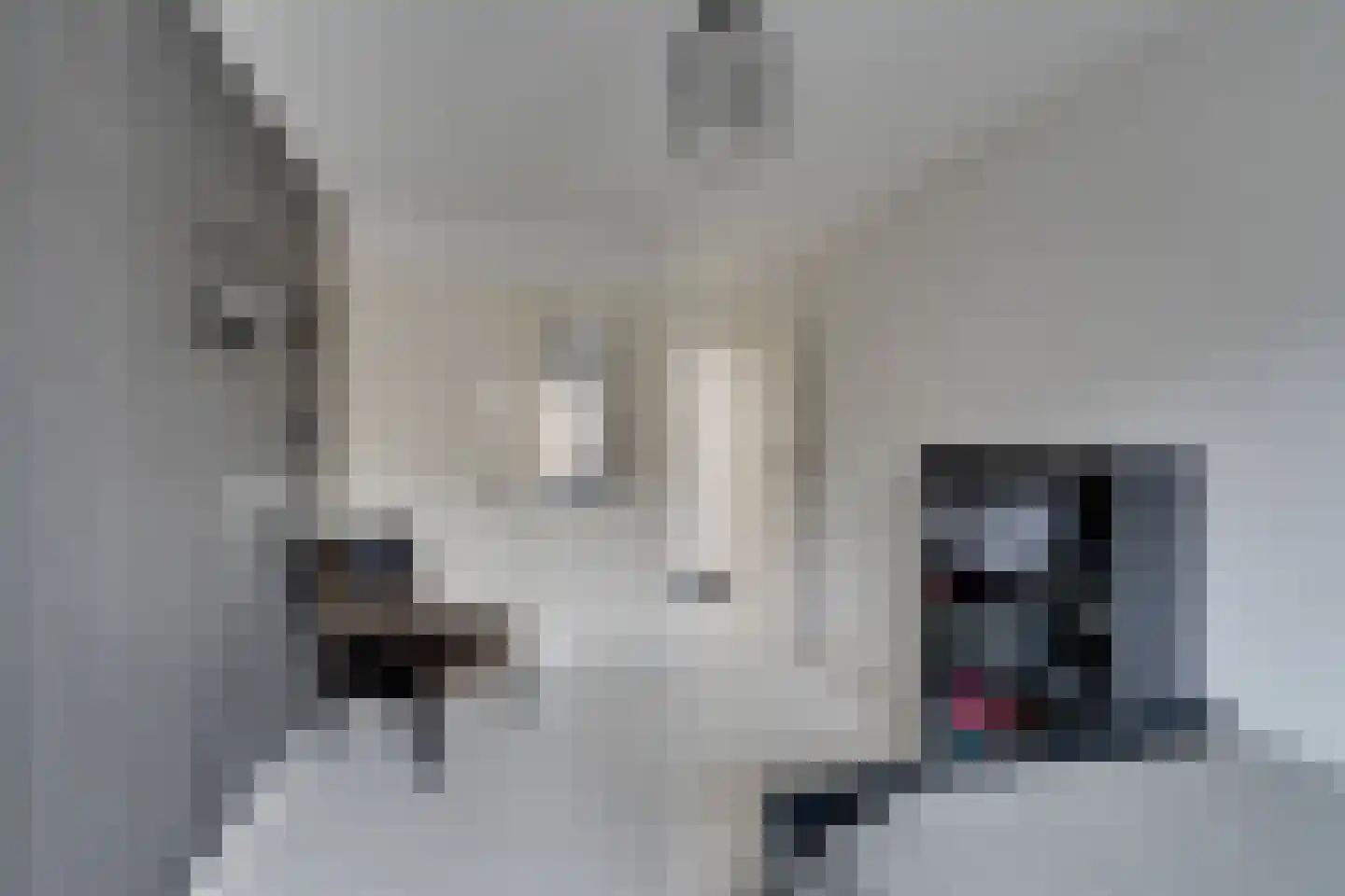 Nieuwe Laan 117 Amsterdam thumbnail 38