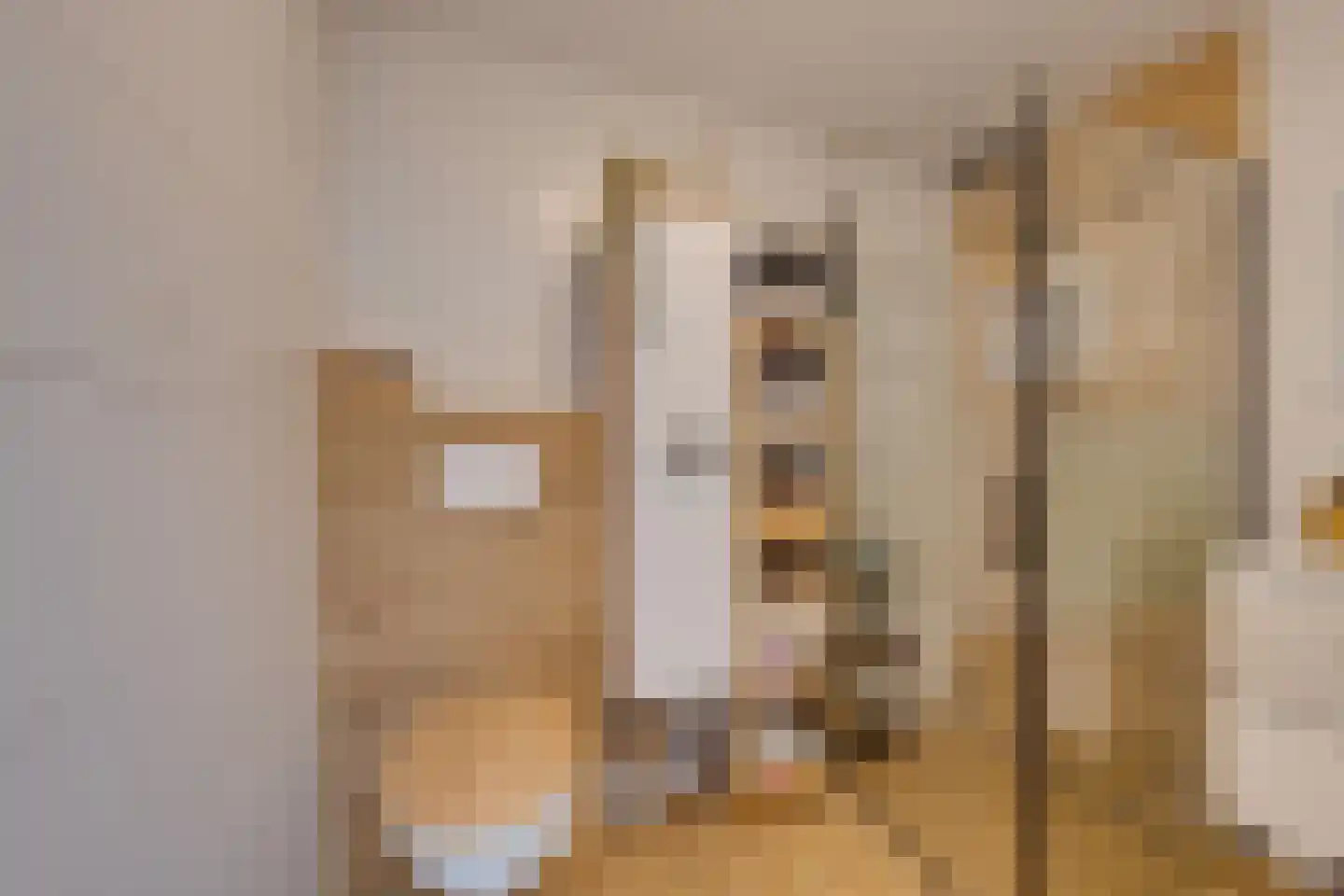 Nieuwe Laan 117 Amsterdam thumbnail 39