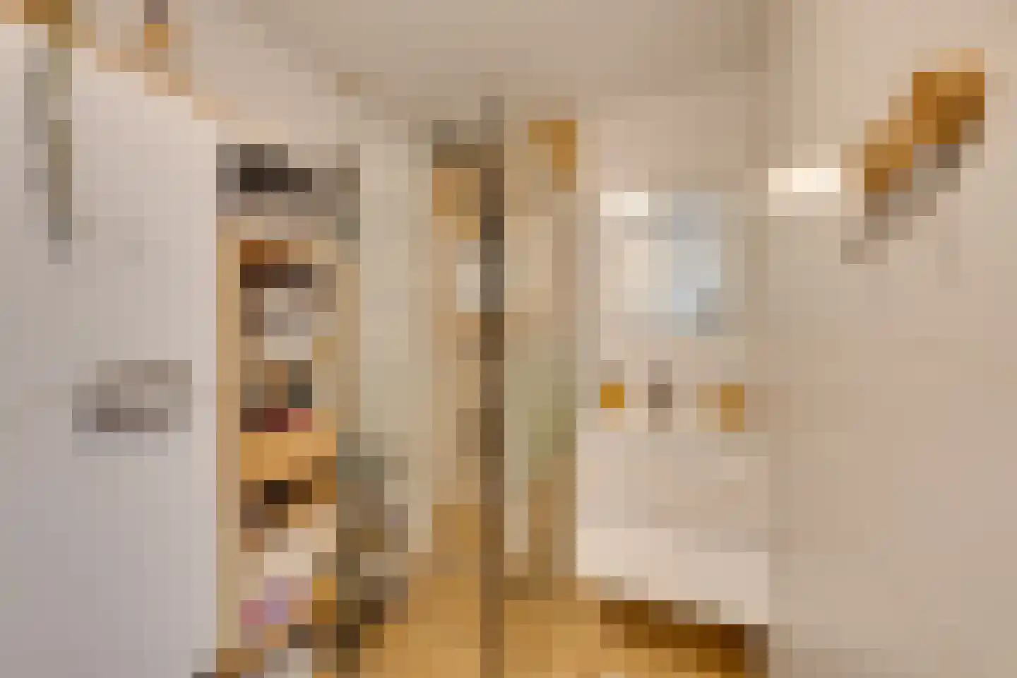 Nieuwe Laan 117 Amsterdam thumbnail 40